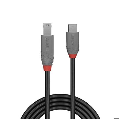 Lindy Anthra Line - USB-C cable - 24 pin USB-C to USB Type B - 2 m