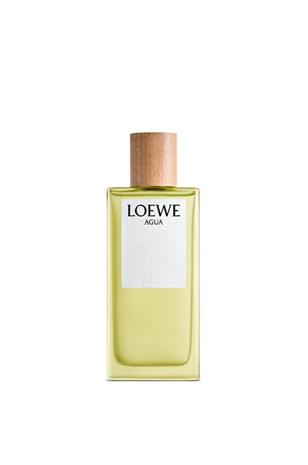 LOEWE Agua De Loewe - EdT 100 ml