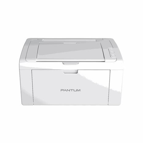 Panttum P2509W
