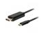 Lanberg - USB-C / DisplayPort adapter - USB-C to DisplayPort - 3 m – kuva 2