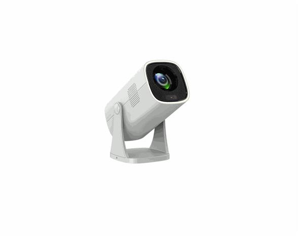 Philips NeoPix 244 NPX244/INT