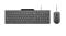Lenovo GX31R09775 näppäimistö Sisältää hiiren Koti /Toimisto USB Englanti (US) Harmaa – kuva 4