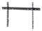 Mount Massive MNT 300 - Max 100 kg - recommended for 65" – kuva 2