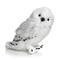 Pehmolelu: Harry Potter - Hedwig (30cm) PEHMO – kuva 7