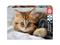 Educa 200 Kitten – kuva 3