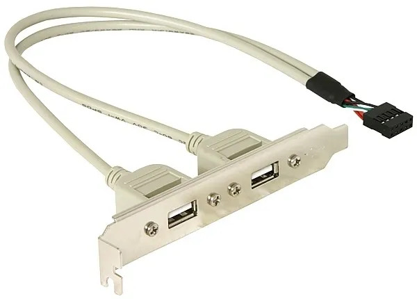 DeLOCK USB Panel - 10 pin USB Header to USB - 30 cm
