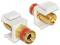 DeLOCK 86304 – kuva 3