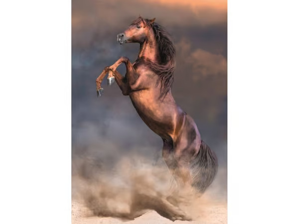 Clementoni Wild Red Stallion (500)