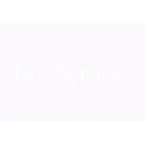 PLANET GS-4210-24P4C