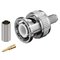 Microconnect koaksiaaliliitin BNC58M – kuva 1