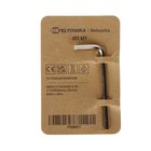 Kuusiokoloavain Teltonika PR5MEC17, kulmikas, Hopea, 19 × 53 × 2,5 mm