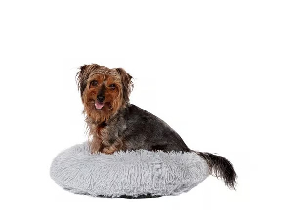 Danish Design Calming Bed S 50x17cm