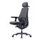 LiberNovo Maxis (Electric) - Graphite - BOX A (1/2 – kuva 2