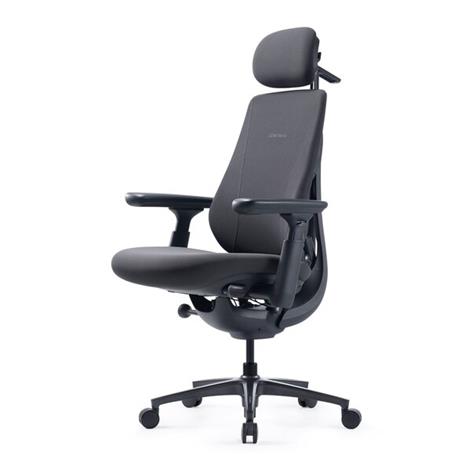 LiberNovo Maxis (Electric) - Graphite - BOX A (1/2