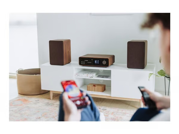 Pure Micro HiFi Classic Stereo 252808