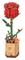 ROBOTIME Red Rose TW042 – kuva 2
