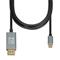 iBOX - video adapter cable - USB-C to DisplayPort - 1.8 m – kuva 2