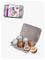 Eichhorn Eggs in Box – kuva 2