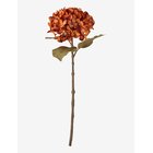BLOOMINGVILLE Hydrangea Stem - ORANGE - H46 cm