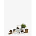 GIFT REPUBLIC Grow Kit Coffee - WHITE - One Size