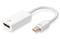 DIGITUS ASSMANN Mini DP to HDMI – kuva 5