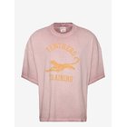 CHAMPION Ss Tee - MS573-RSBR - M