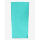 ICEBREAKER Unisex Merino 200 Oasis Flexi Chute - FRESH - One Size