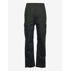 DICKIES Eagle Bend Pant - BLACK - 30
