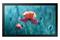 Samsung QB13C (13"), näyttö – kuva 6
