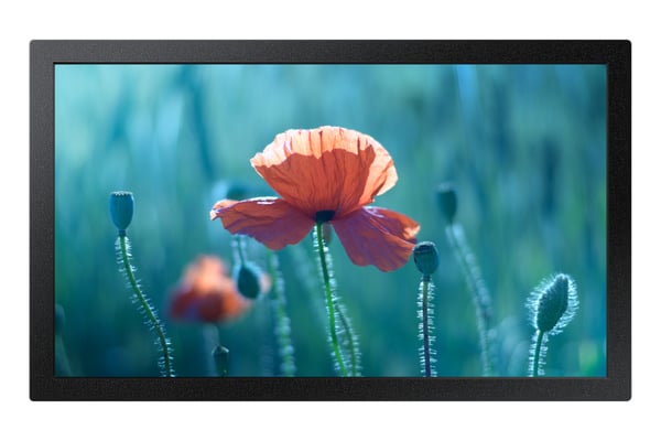 Samsung QB13C (13"), näyttö