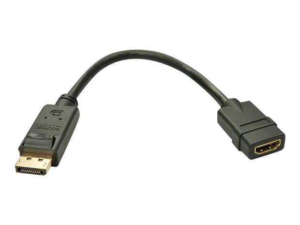 Lindy adapter - 0.15 m