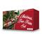 Mikamax Christmas Tree Train Set – kuva 5