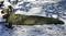 Bushmen Hideout Thermo Bivvy Bag, olive – kuva 5
