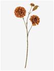 BLOOMINGVILLE Chrysantemum Stem - ORANGE - H66 cm