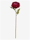 BLOOMINGVILLE Chrysantemum Stem - RED - H61 cm