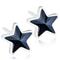 Blomdahl Star korvakorut – kuva 8
