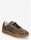 STEVE MADDEN Euphoria - LEOPARD - 38