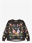 MOLO Reniza - WONDERLAND - 152