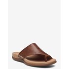 GABOR Slip-In - BROWN - 36