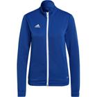 Adidas Entrada paita 22 HG6293, sininen