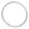 Philips G10q 40W 840 Pyöreä loistel. Master Circular TL-E – kuva 8