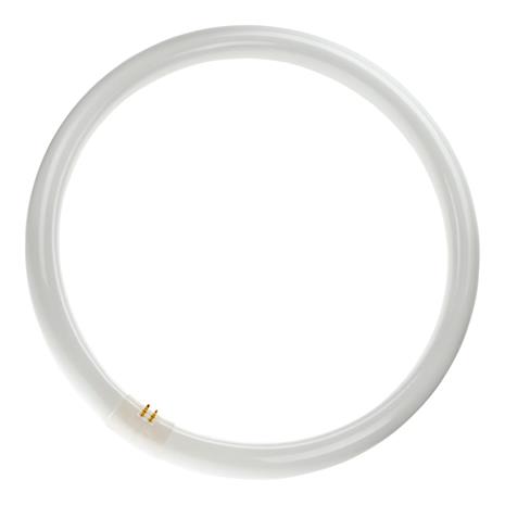 Philips G10q 40W 840 Pyöreä loistel. Master Circular TL-E
