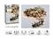 H&S MICRO CLUSTER WW 400LED 8M VALOSARJA – kuva 3